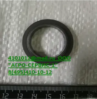 Кольцо графитофторопластовое к НМУ-6,НМУ 00.007*
